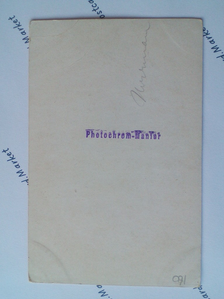 /Germany/DE_place_19xx_Rudolstadt. Blick vom Hain n.d. Schloss Photochrom UNC.jpg